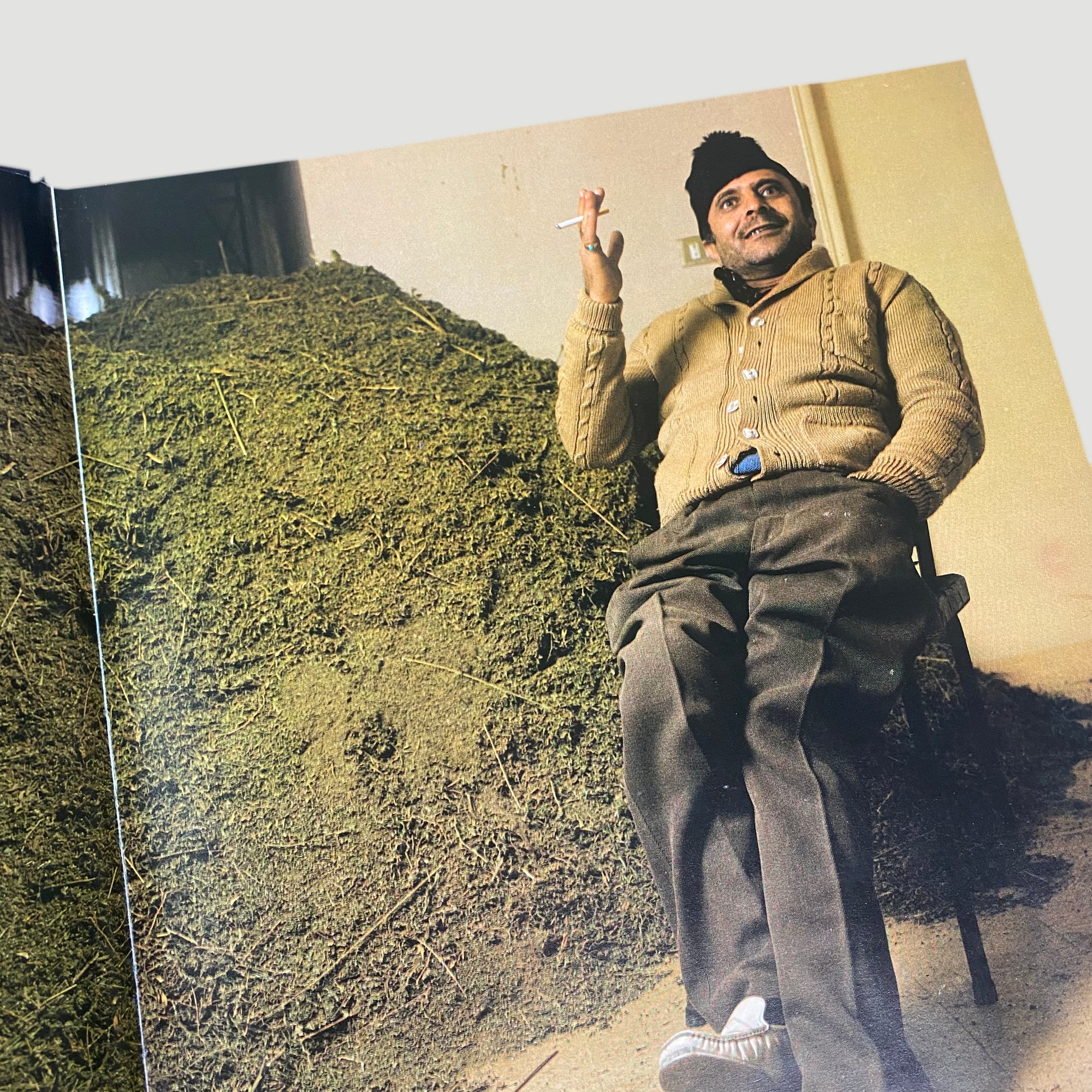 1984 Hasish by Suomi La Valle