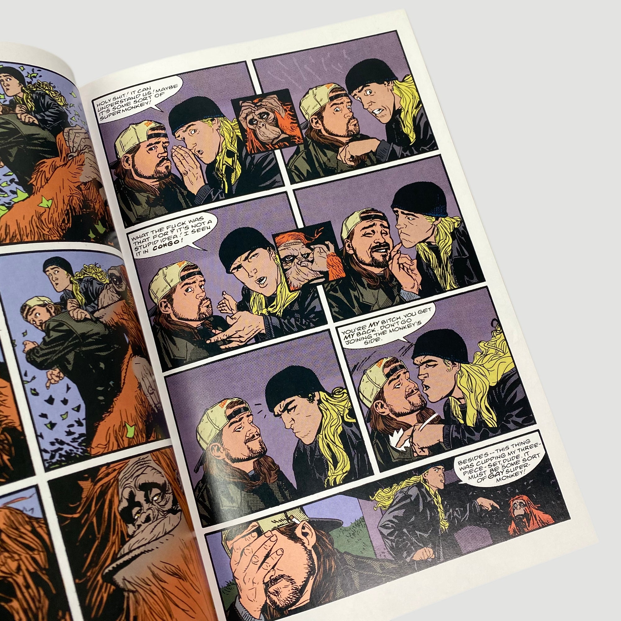 2002 Kevin Smith 'Chasing Dogma'