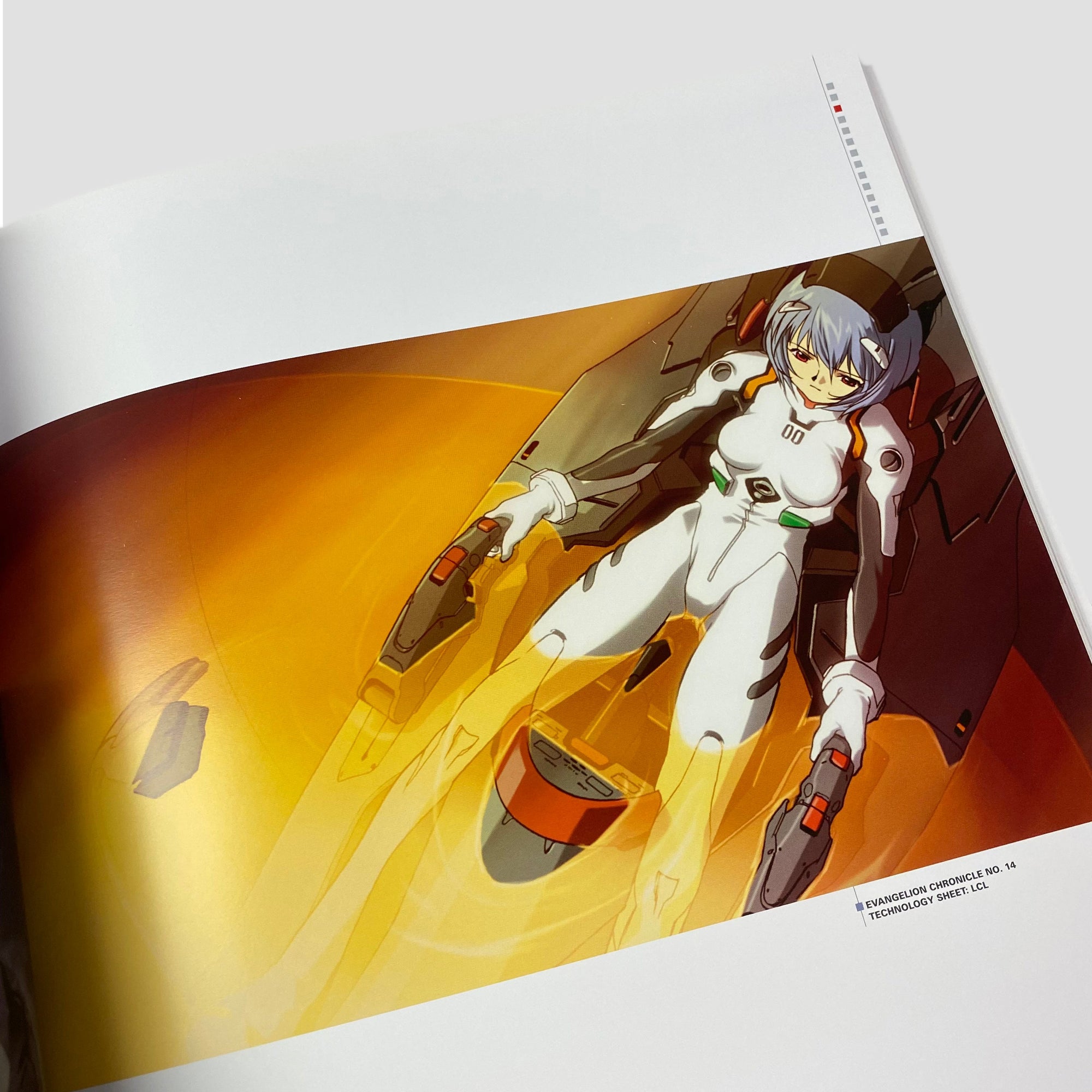 2012 Evangelion Chronicle Illustrations