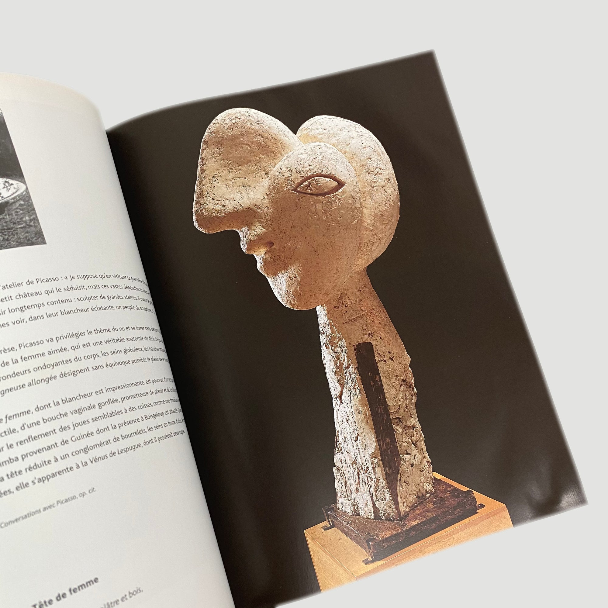 2000 Picasso Sculpteur Exhibition Book