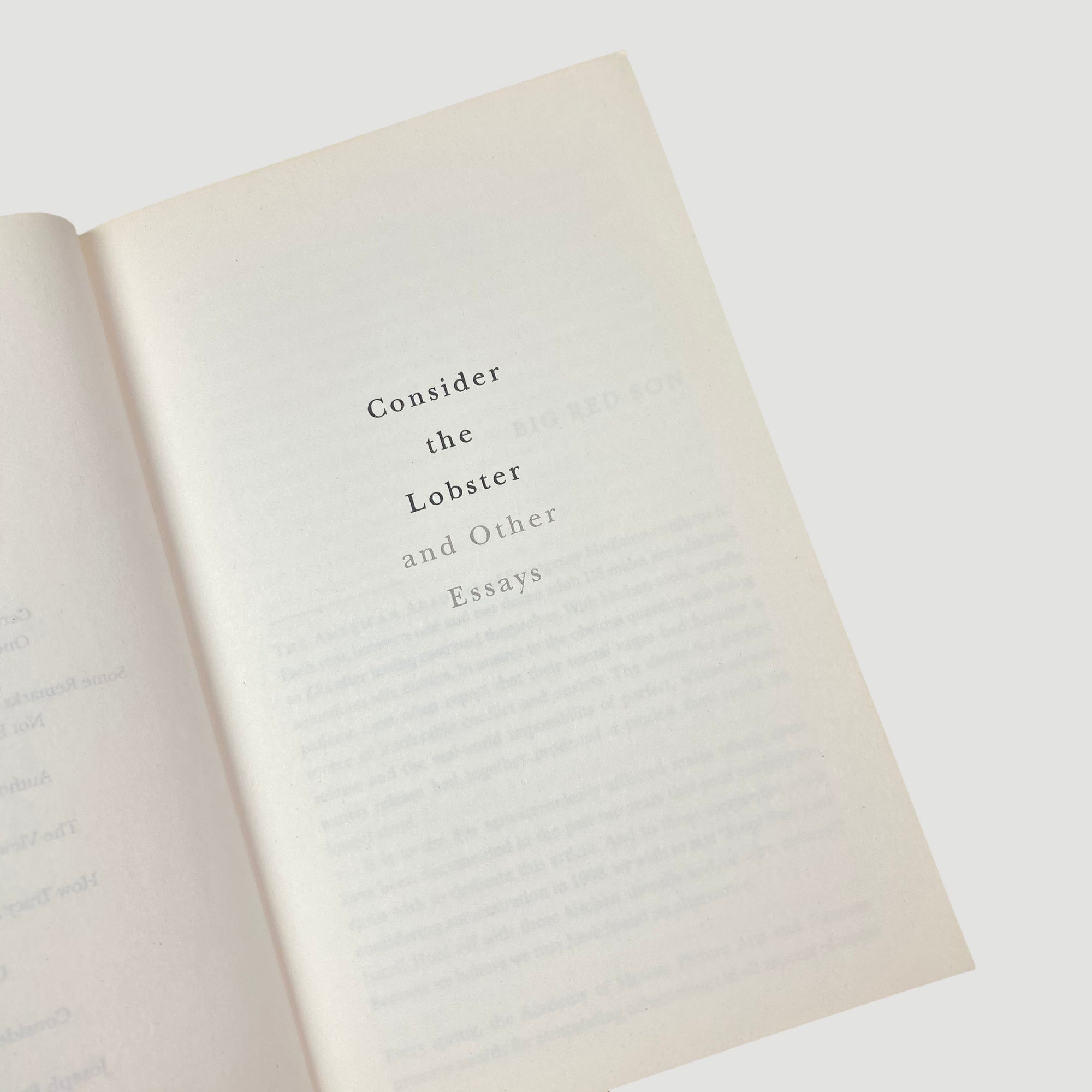 2007 David Foster Wallace 'Consider The Lobster'