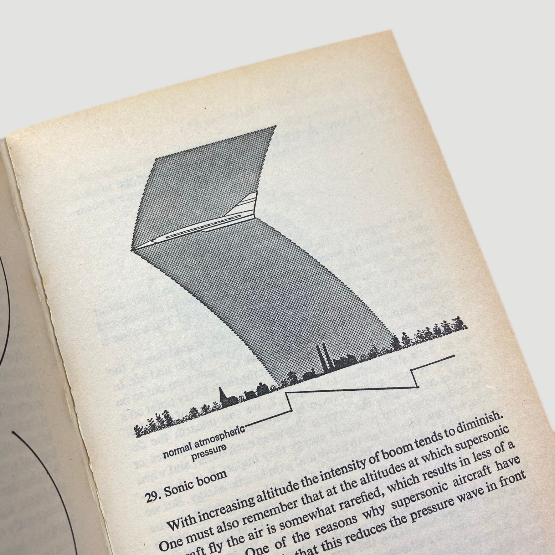 1979 Rupert Taylor 'Noise' Pelican