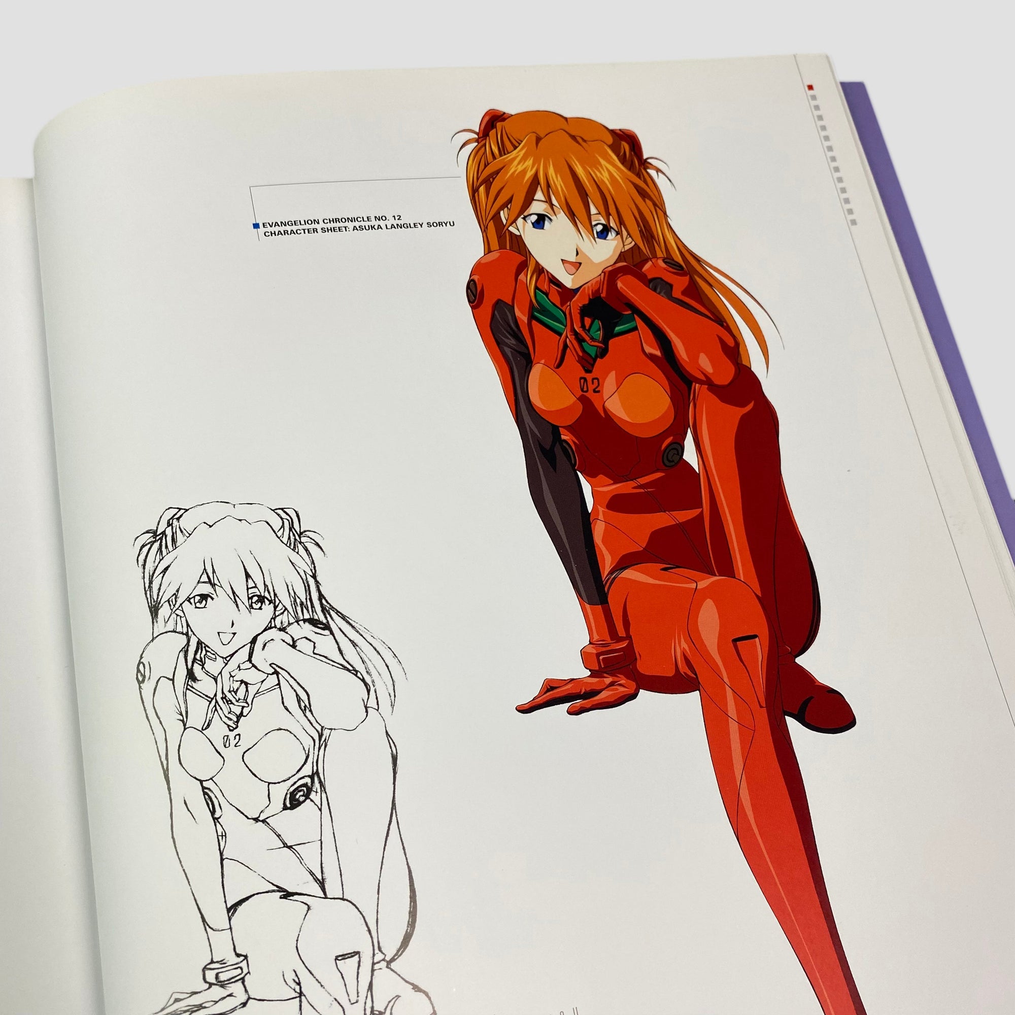 2012 Evangelion Chronicle Illustrations