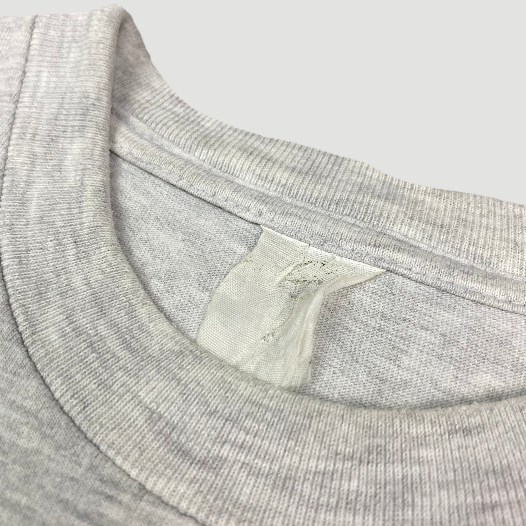 90's Rollins Band 'Search & Destroy' T-Shirt