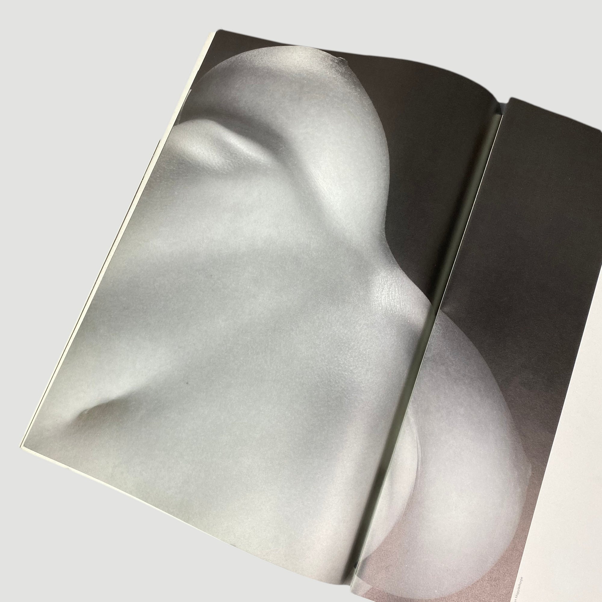 1991 Robert Mapplethorpe 'Max' Poster Book