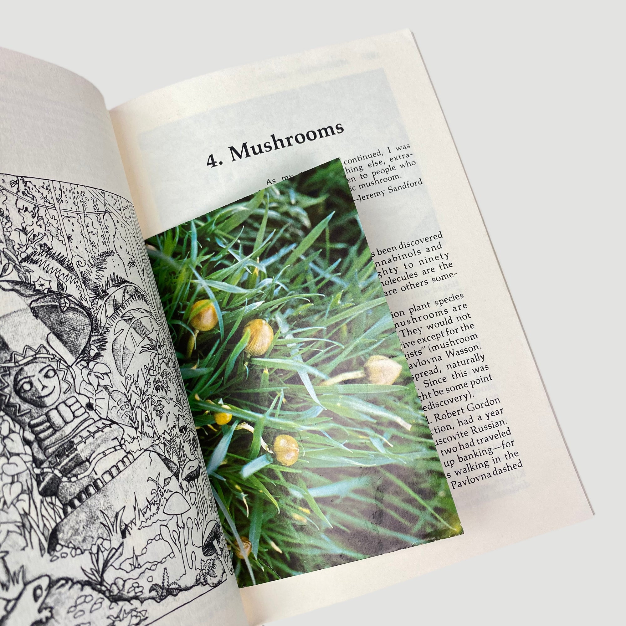 1977 Peter G. Stafford 'Psychedelics Encyclopedia'