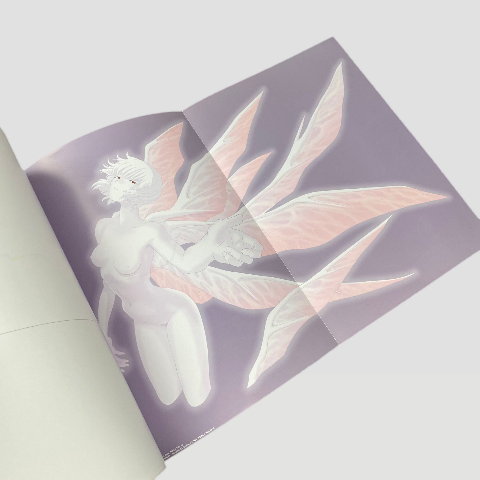 2012 Evangelion Chronicle Illustrations