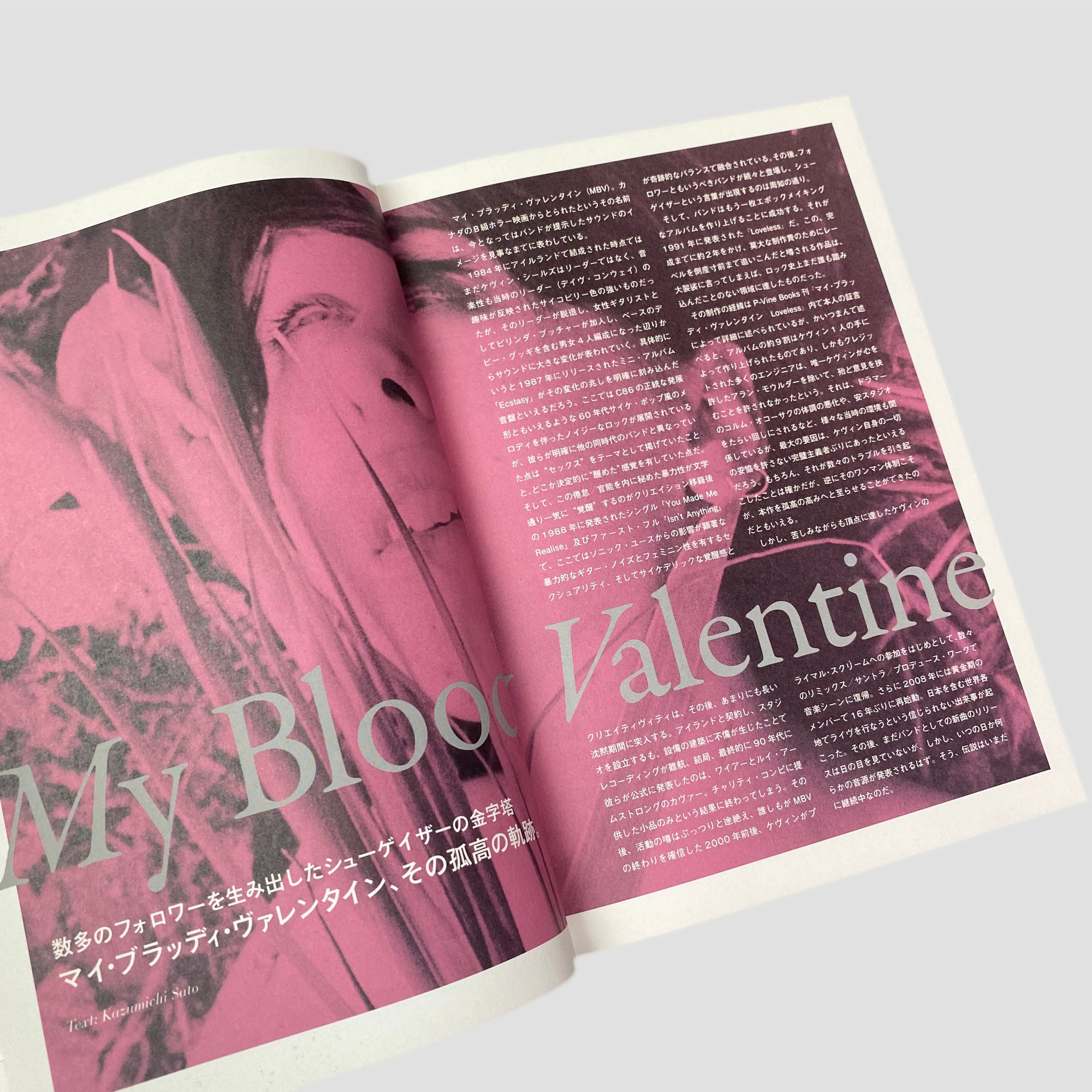 2010 Shoegazer Disc Guide Japanese Mook