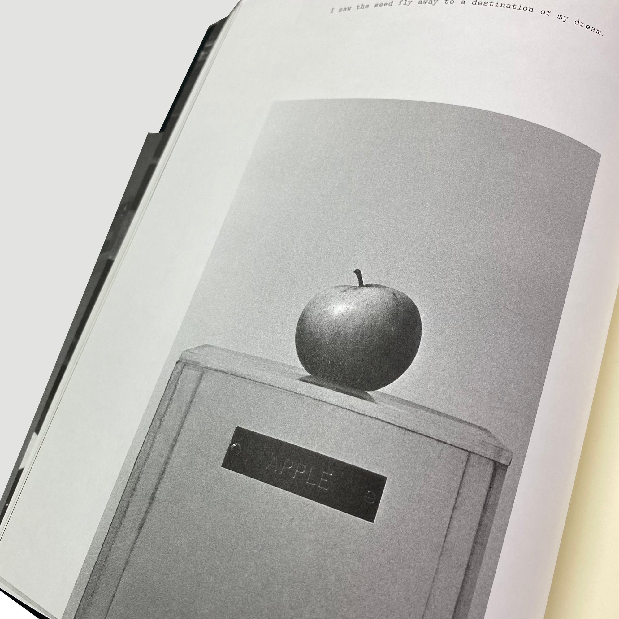 2012 Yoko Ono 'To The Light' Serpentine Gallery