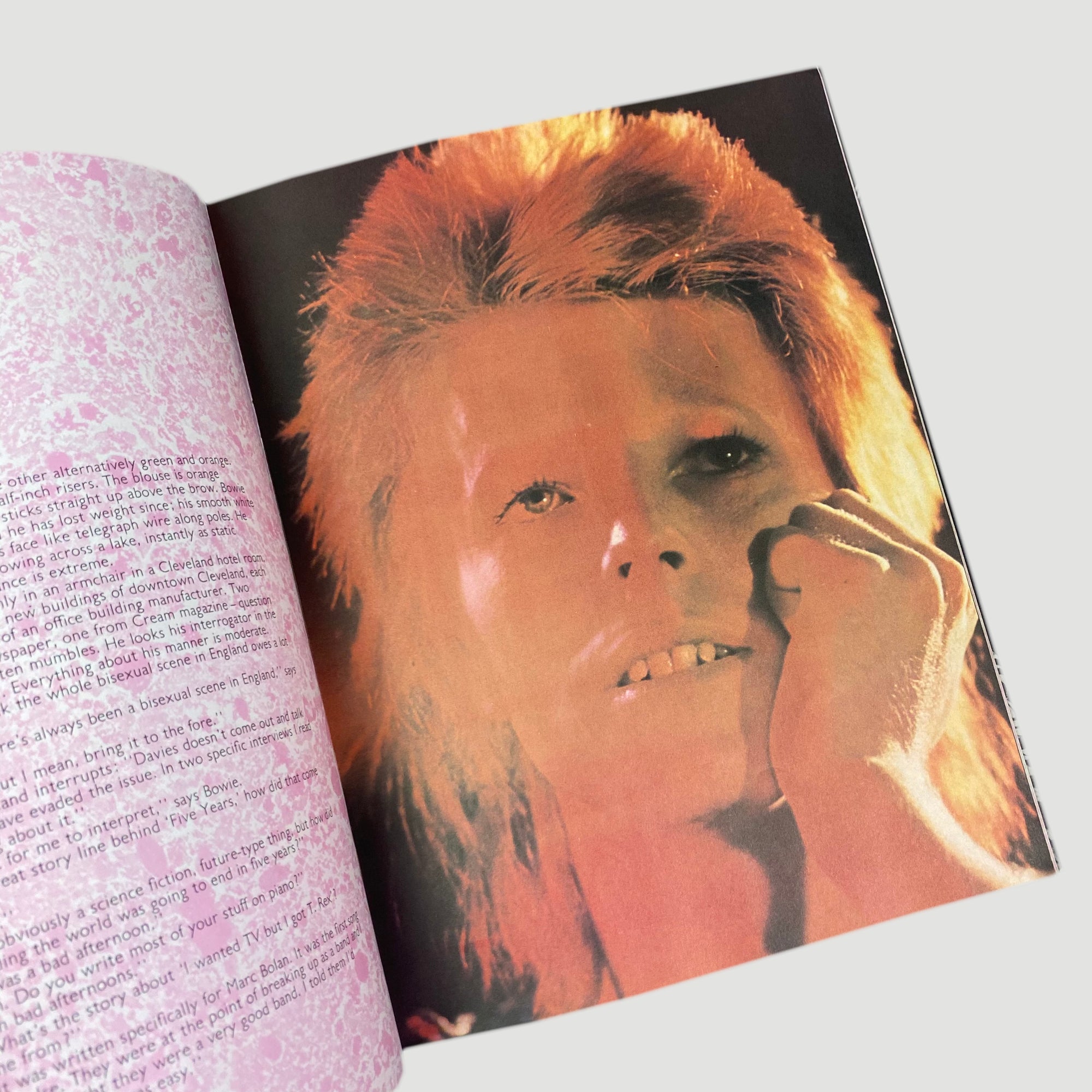 [洋書] David Bowie: A Portrait Unified Goods