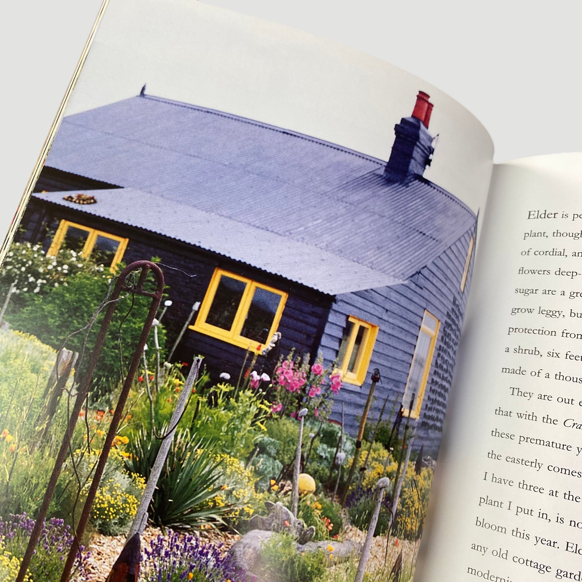 1995 Derek Jarman 'Derek Jarman's Garden'