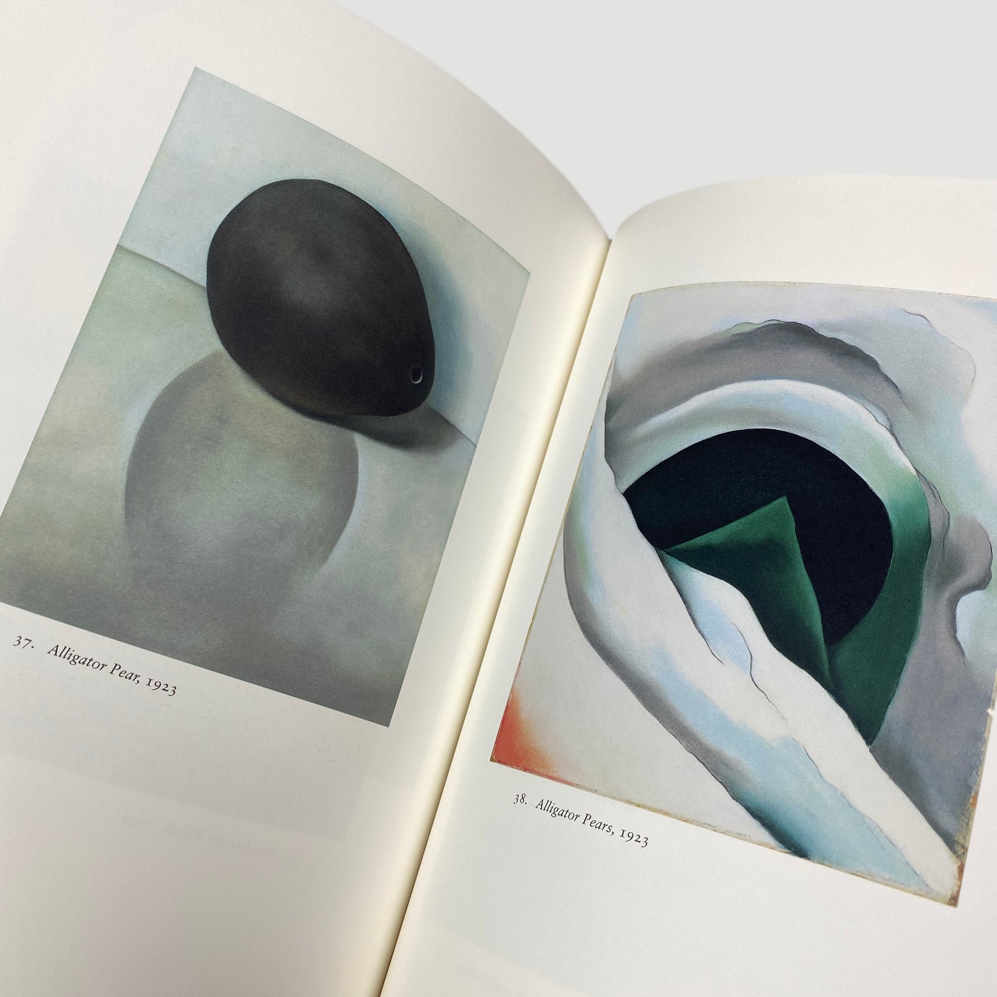 2000 Georgia O'Keeffe On Paper