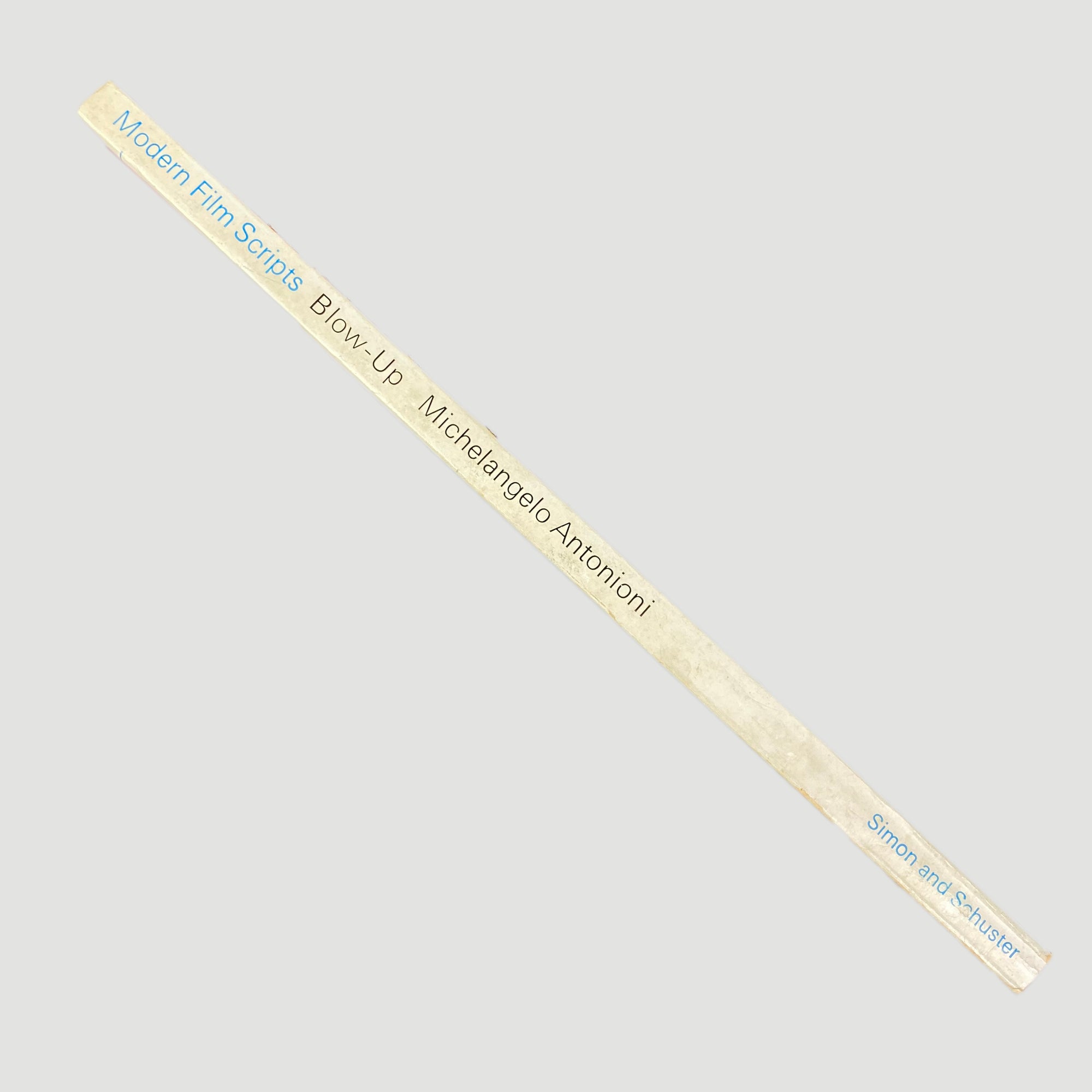 1971 Michelangelo Antonioni 'Blow-Up'