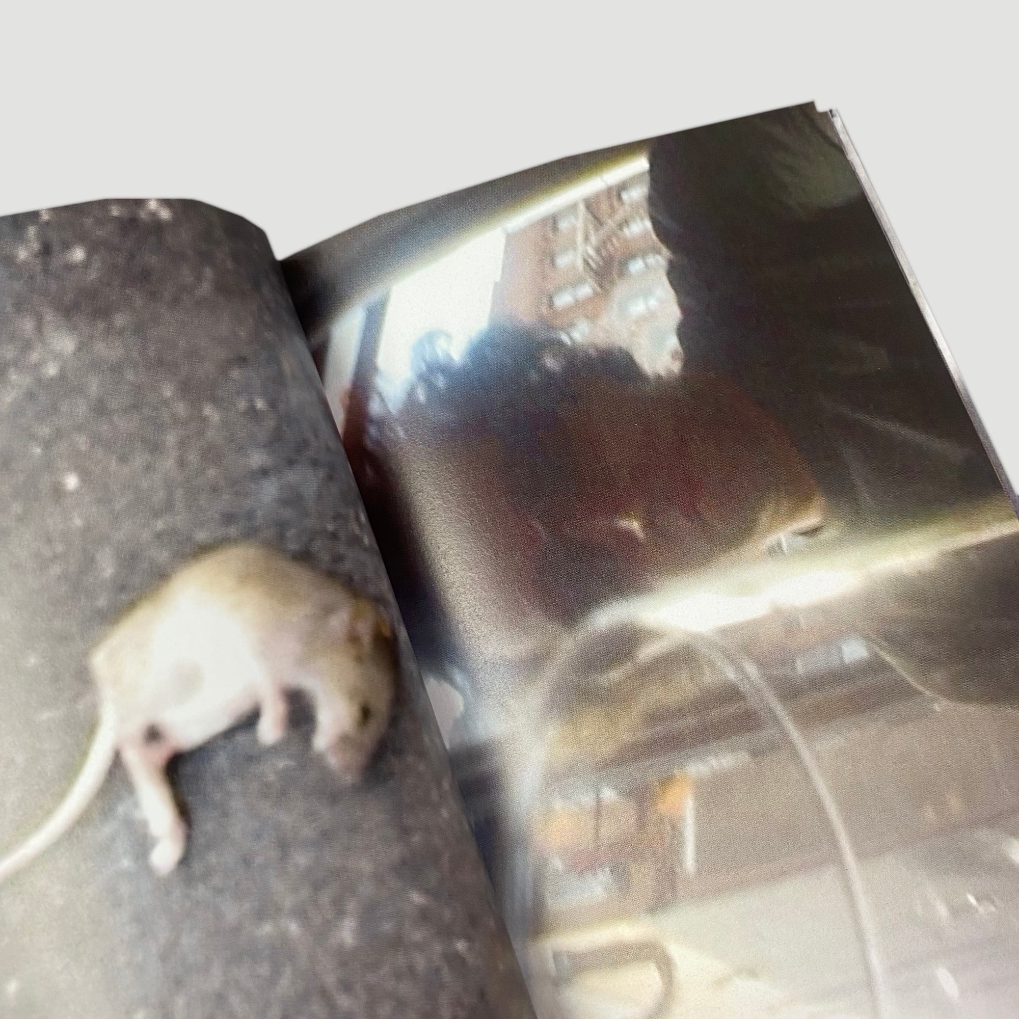 2011 Mark Gonzales Instead Of Eros Avenged