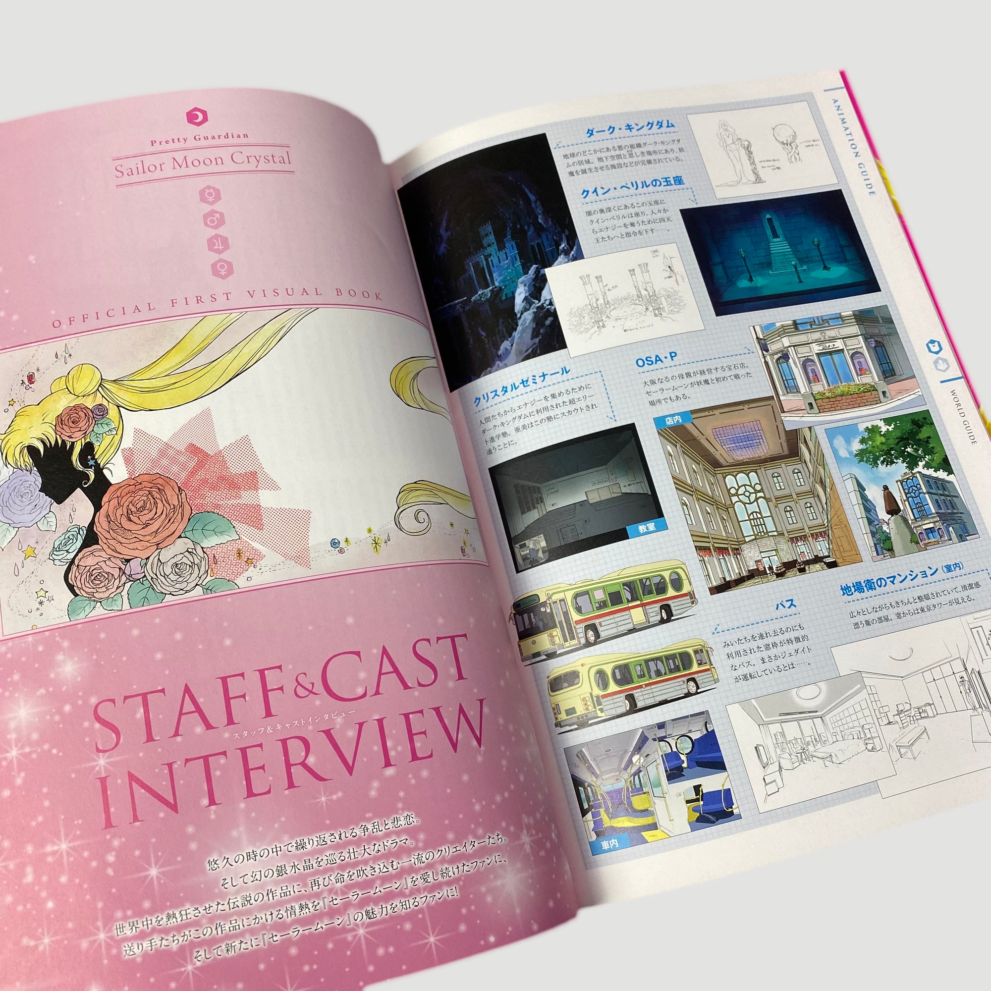 2014 Sailor Moon Crystal Japanese Mook+DVD