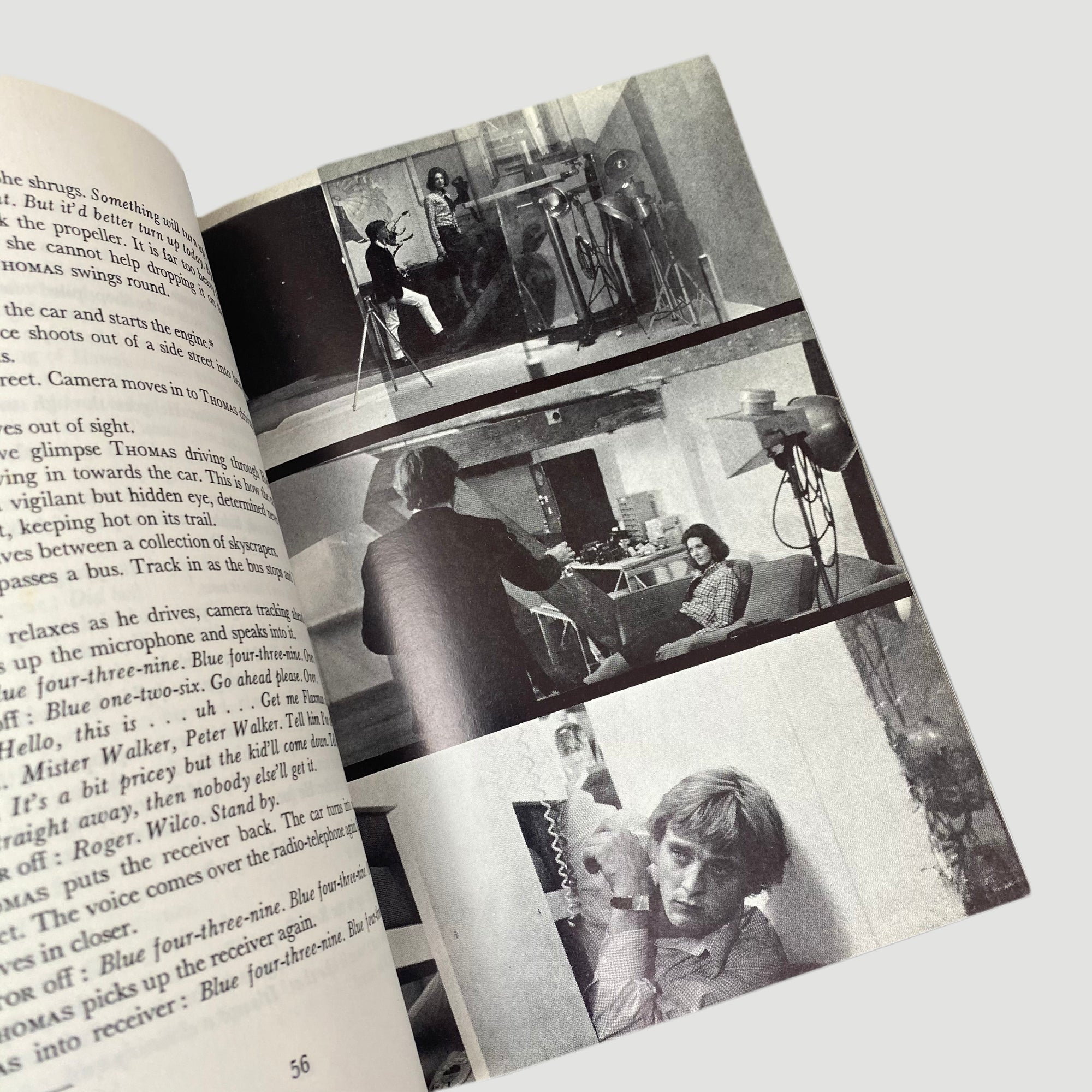 1971 Michelangelo Antonioni 'Blow-Up'