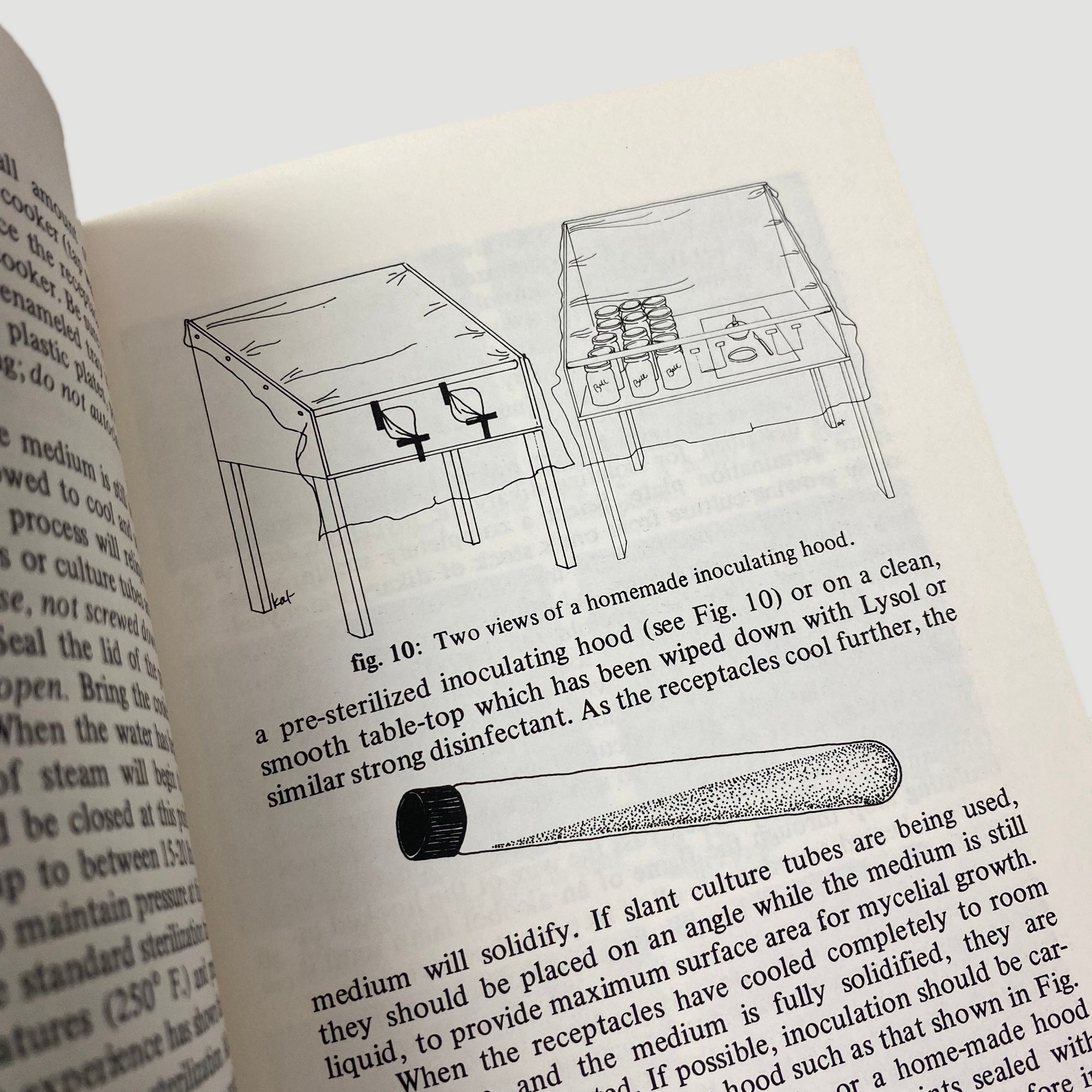 1976 'Psilocybin: Magic Mushroom Grower’s Guide'