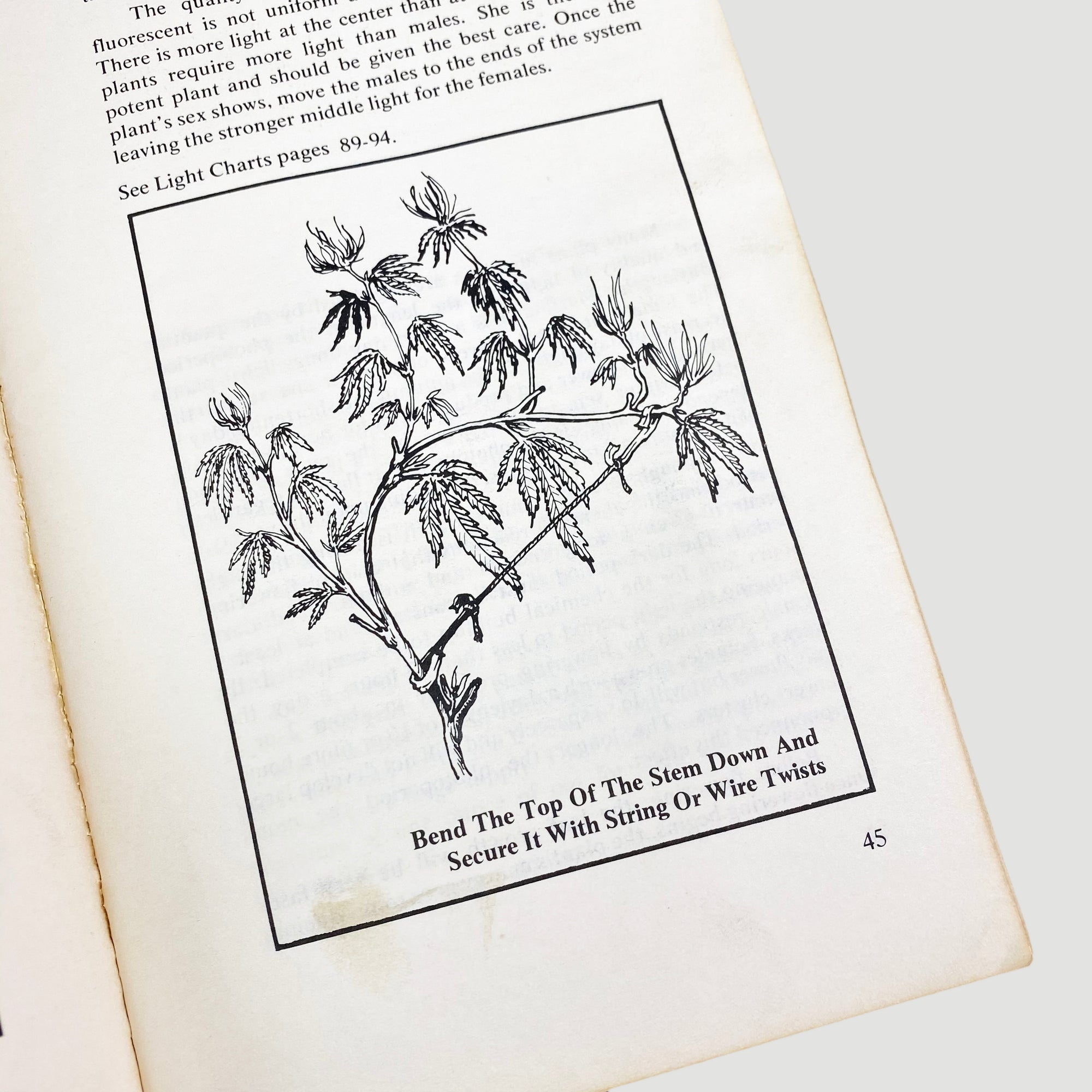 1978 Mel Frank & Ed Rosentha 'Marijuana Growers Guide'