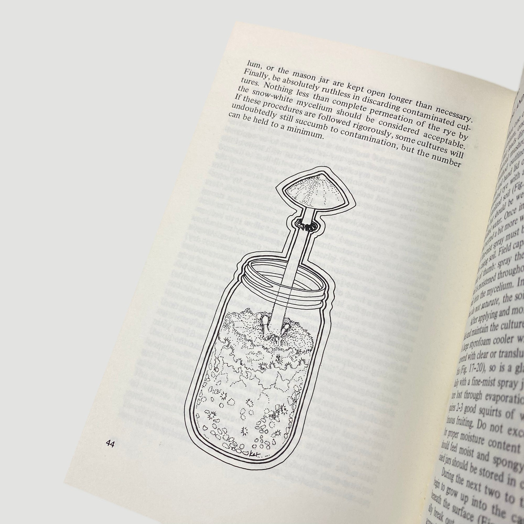 1976 'Psilocybin: Magic Mushroom Grower’s Guide'