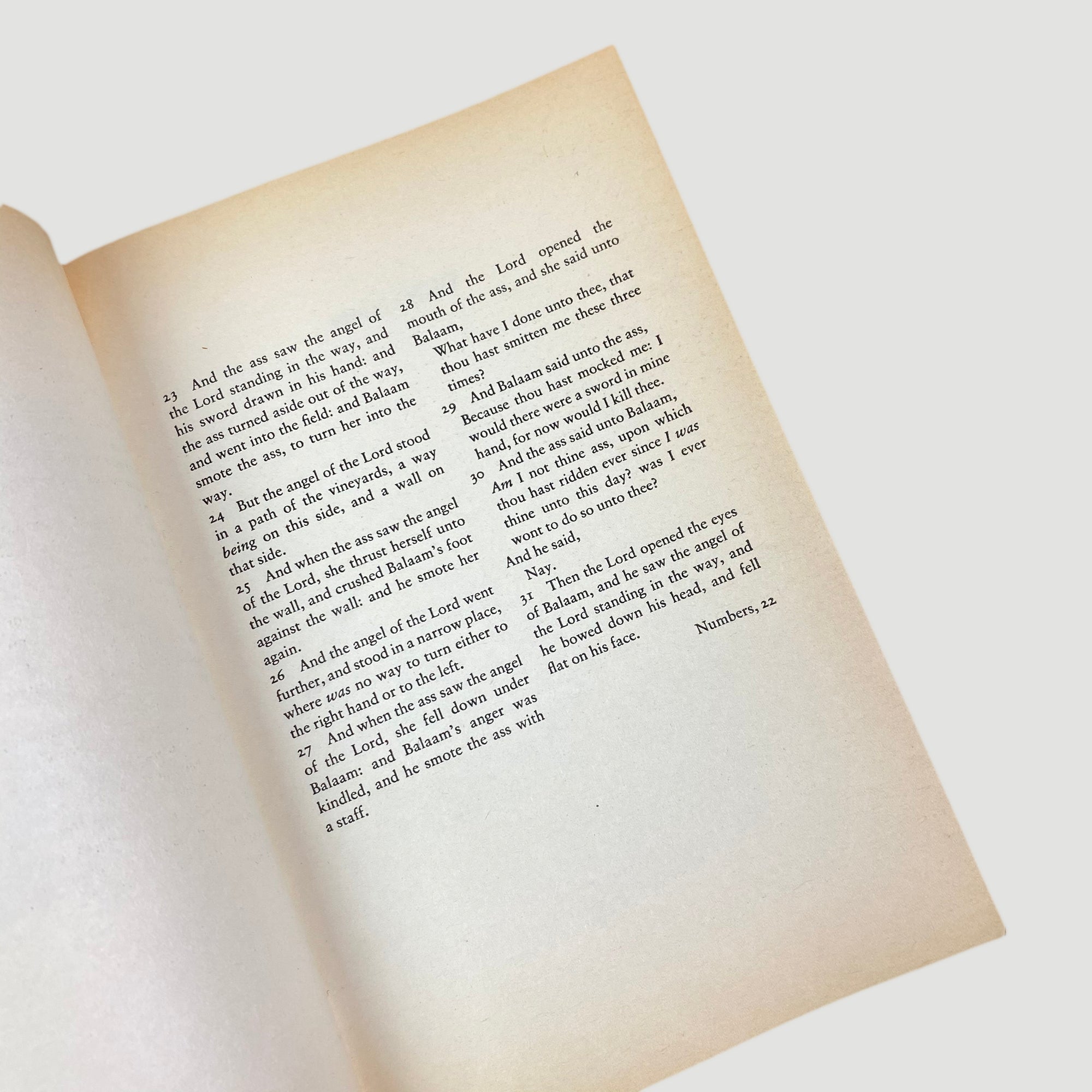 1990 Nick Cave 'And The Ass Saw The Angel'