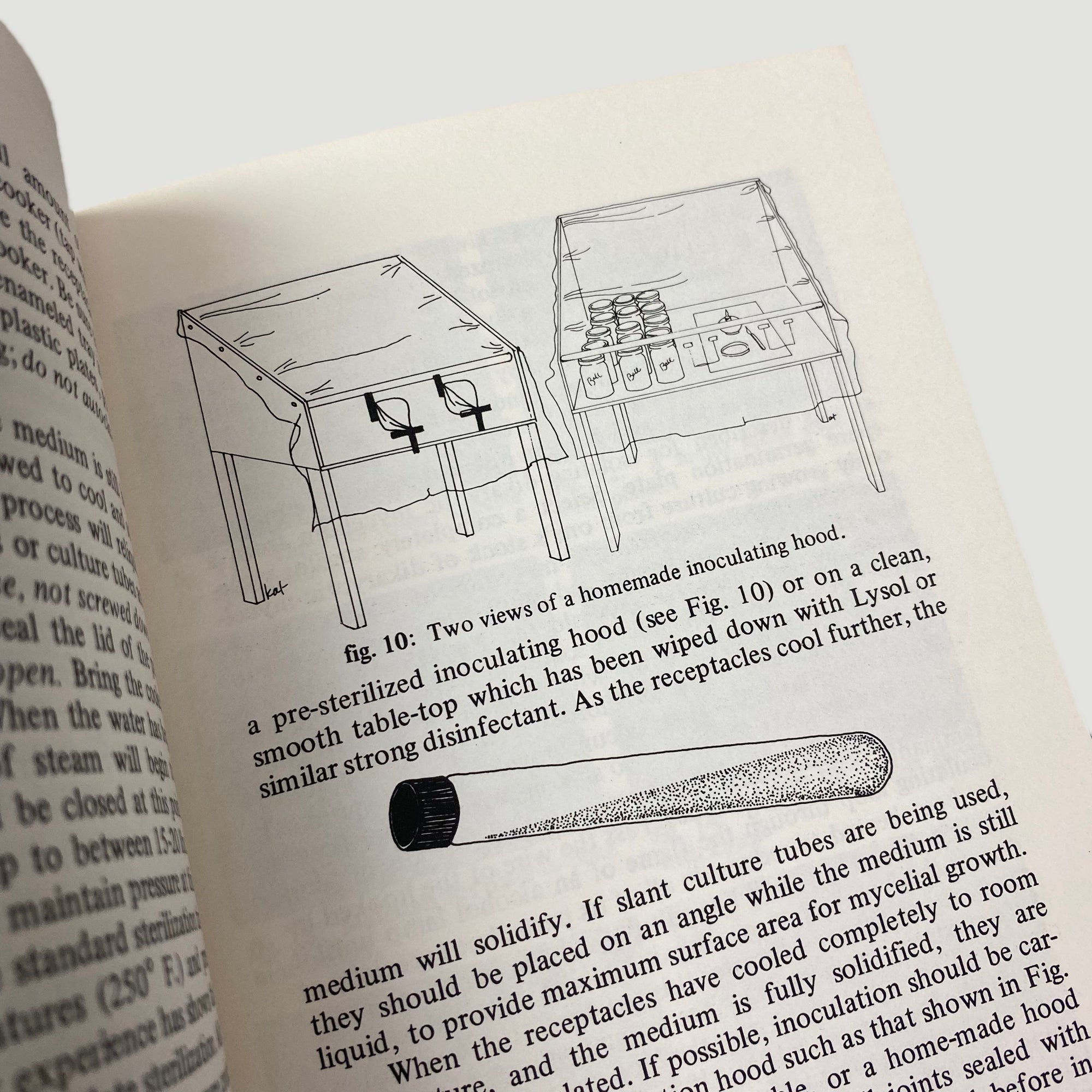 1976 'Psilocybin: Magic Mushroom Grower’s Guide'