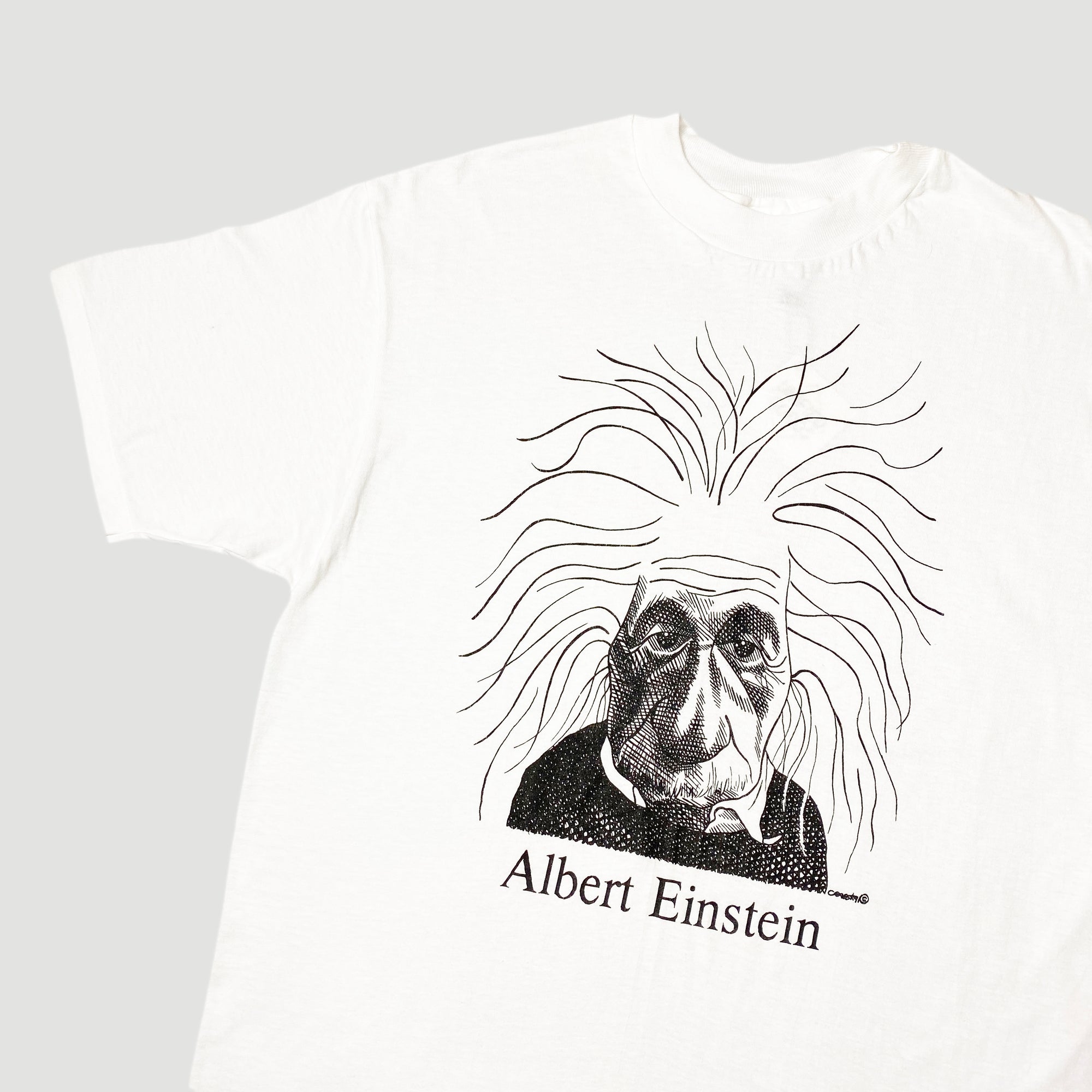 90s ビンテージ Tシャツ アインシュタイン largely literary Unified Goods