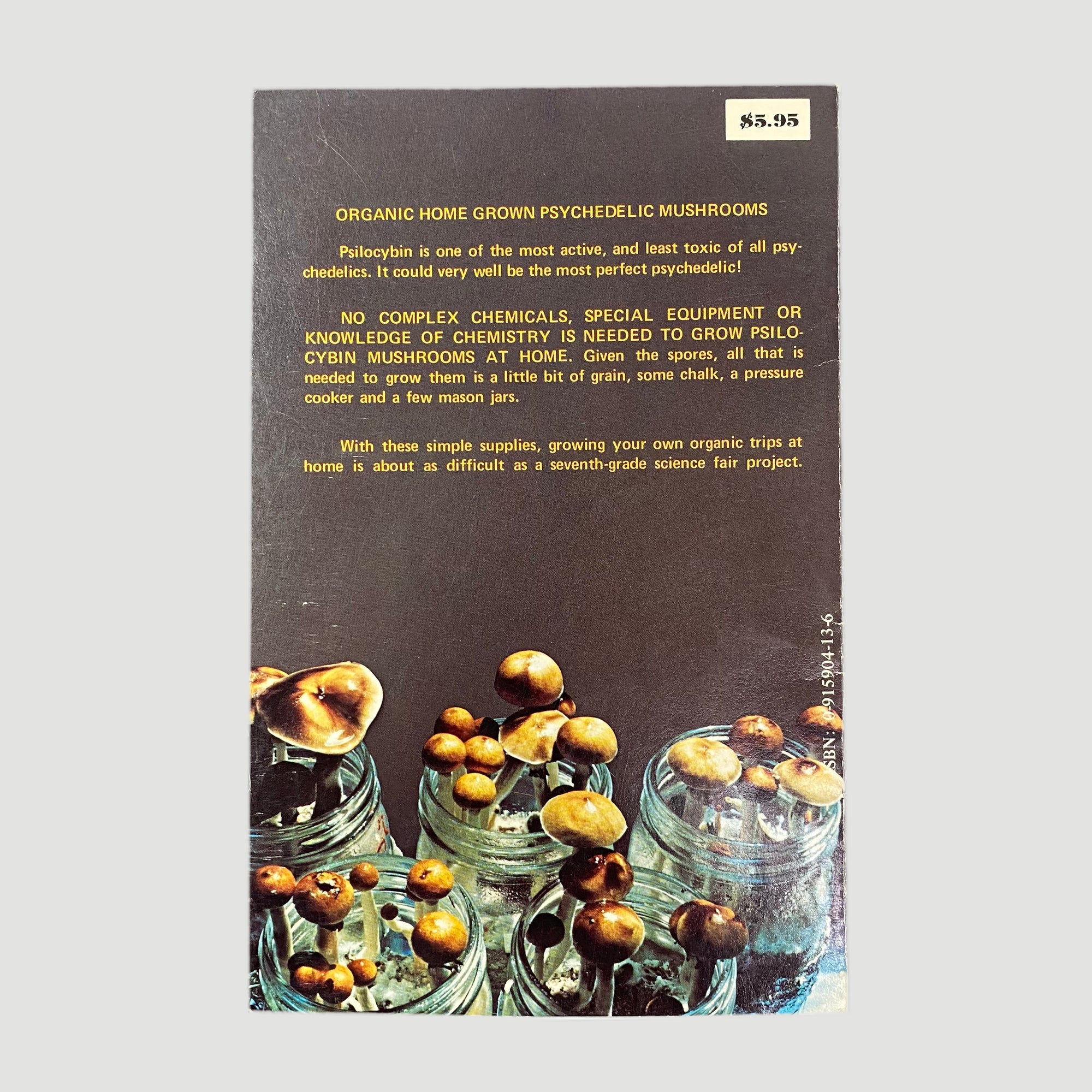 1976 'Psilocybin: Magic Mushroom Grower’s Guide'