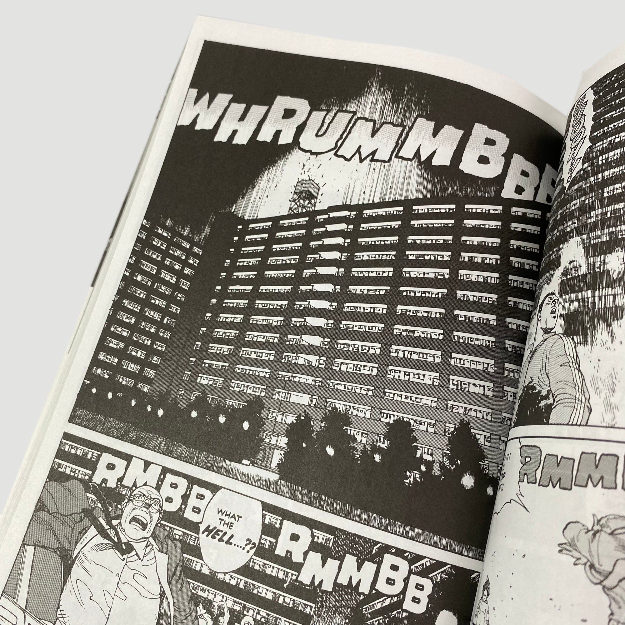 2001 Katushiro Otomo 'Domu' A Child Dream