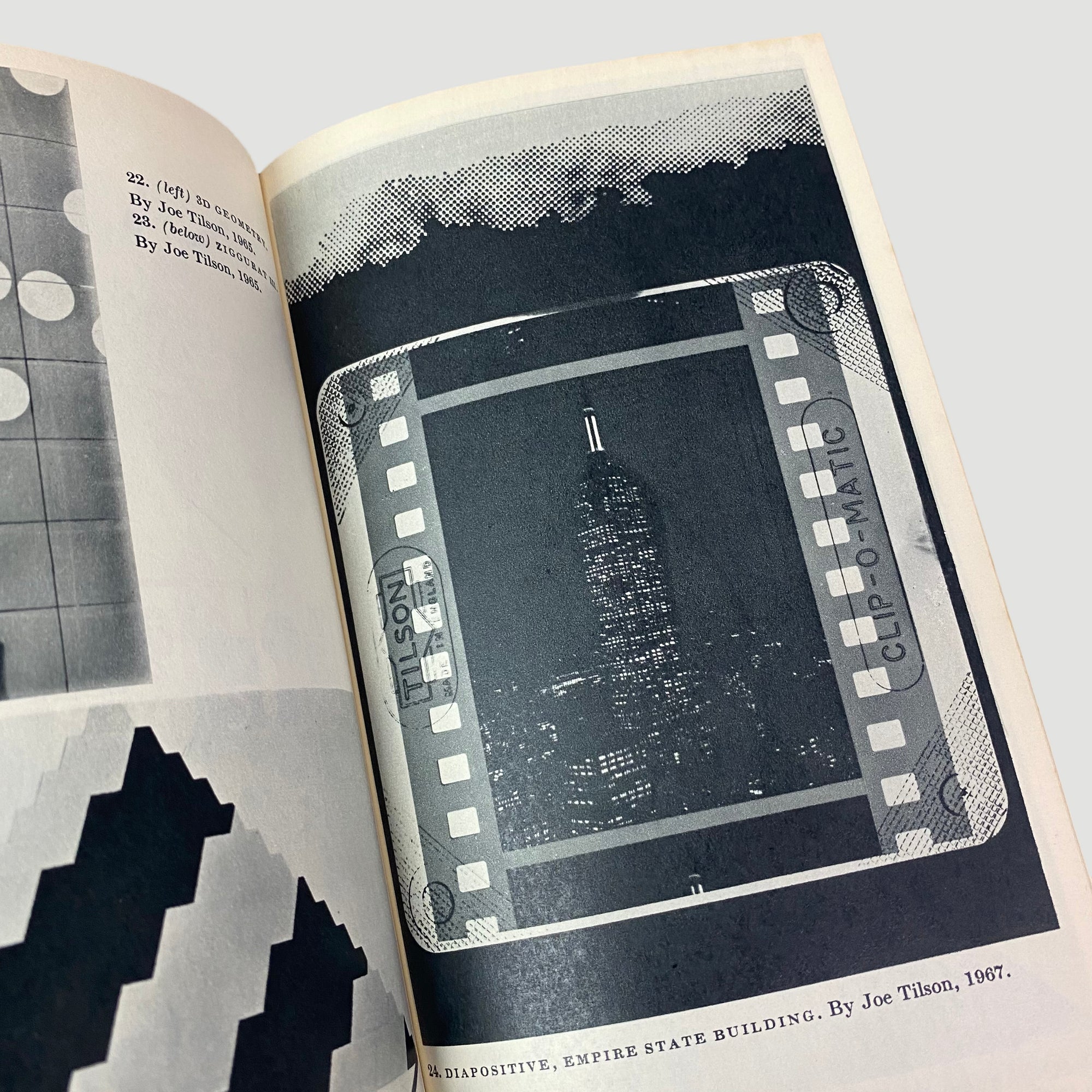 1969 Image as Language Pelican