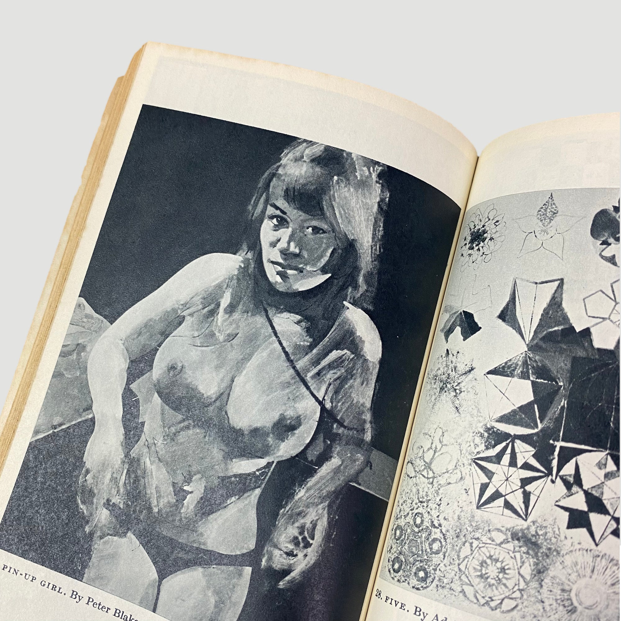 1969 Image as Language Pelican