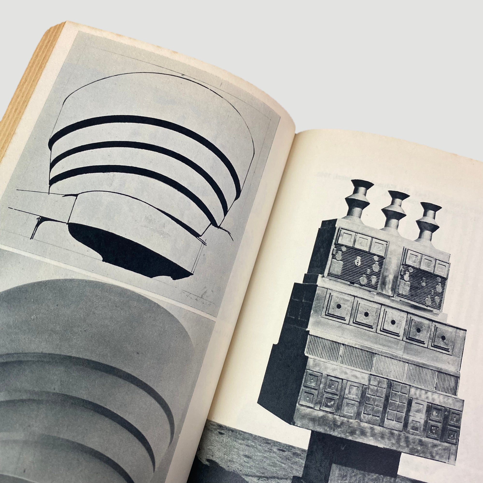 1969 Image as Language Pelican