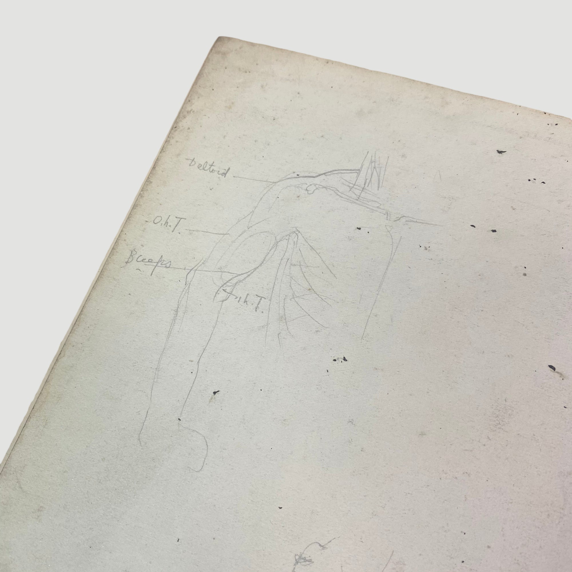 1915 'Anatomical Diagrams For The Use Of Art Students'