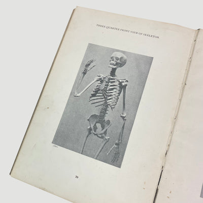 1915 'Anatomical Diagrams For The Use Of Art Students'