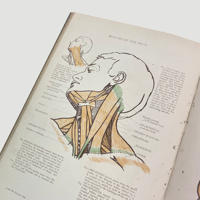 1915 'Anatomical Diagrams For The Use Of Art Students'