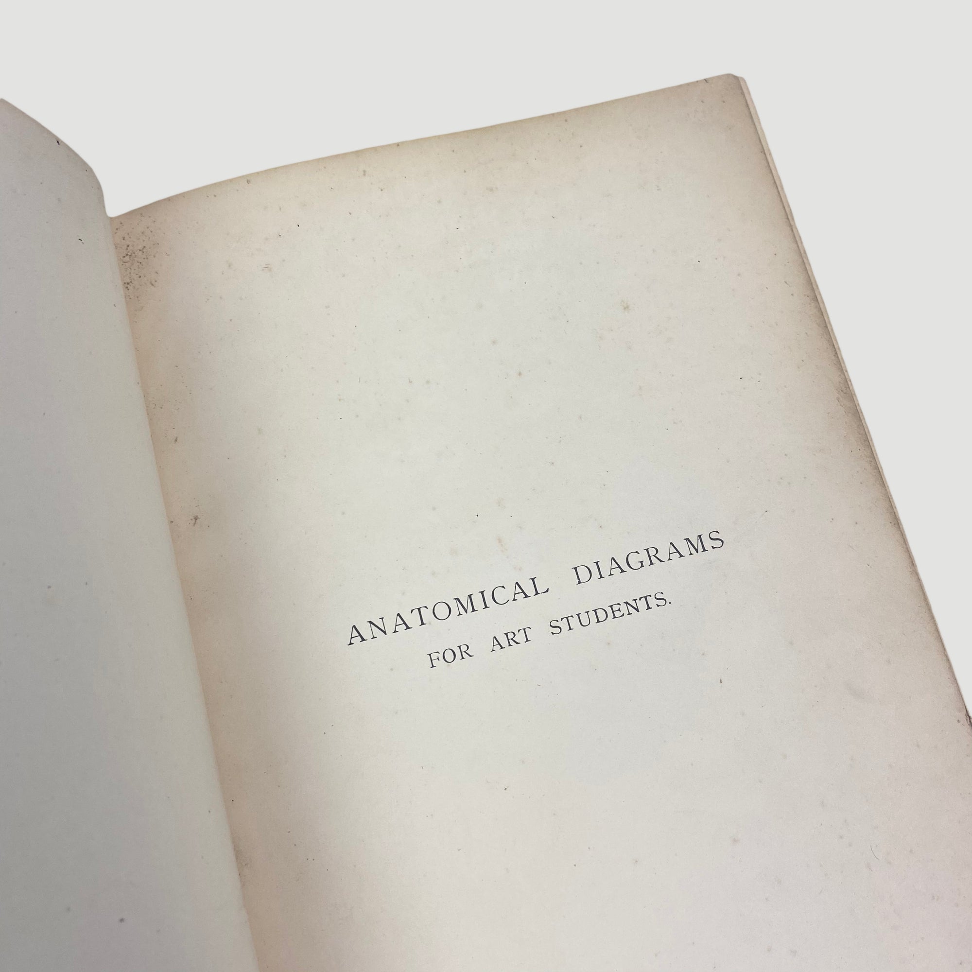 1915 'Anatomical Diagrams For The Use Of Art Students'
