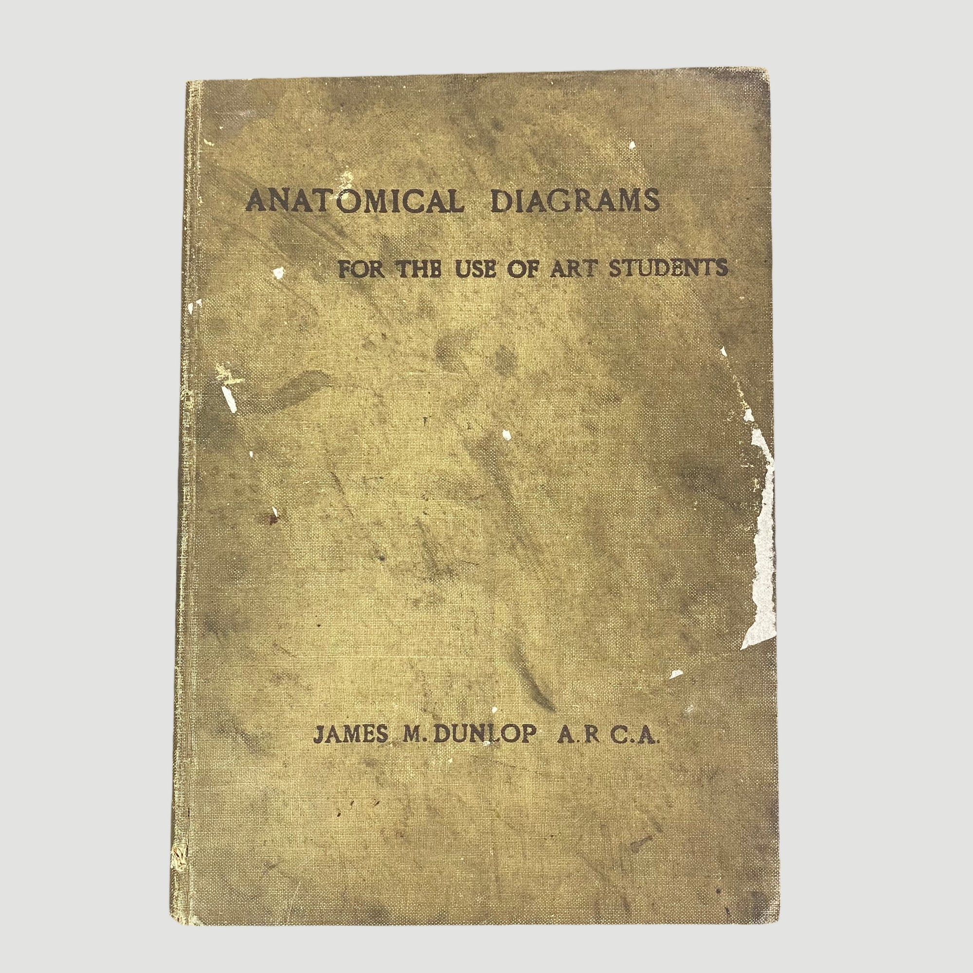 1915 'Anatomical Diagrams For The Use Of Art Students'