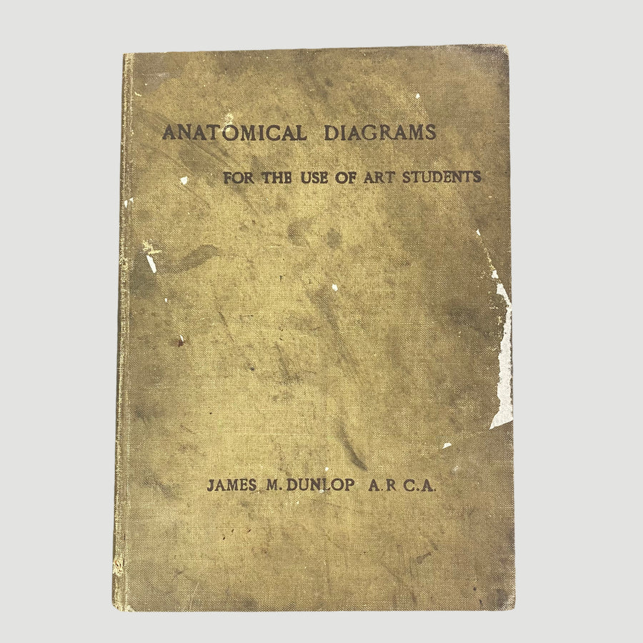 1915 'Anatomical Diagrams For The Use Of Art Students'
