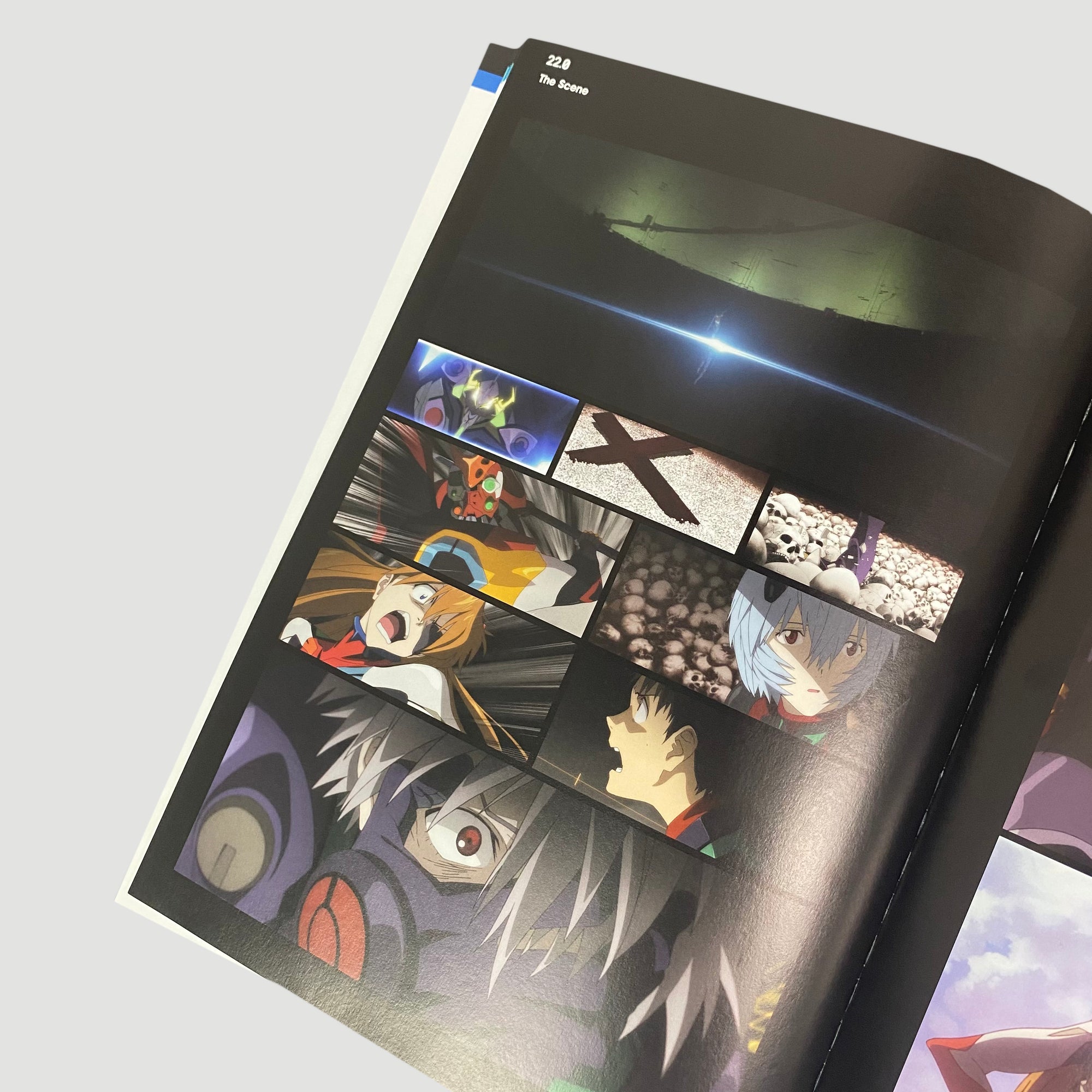 2012 Evangelion 3.0 You Can (Not) Redo Japanese Programme