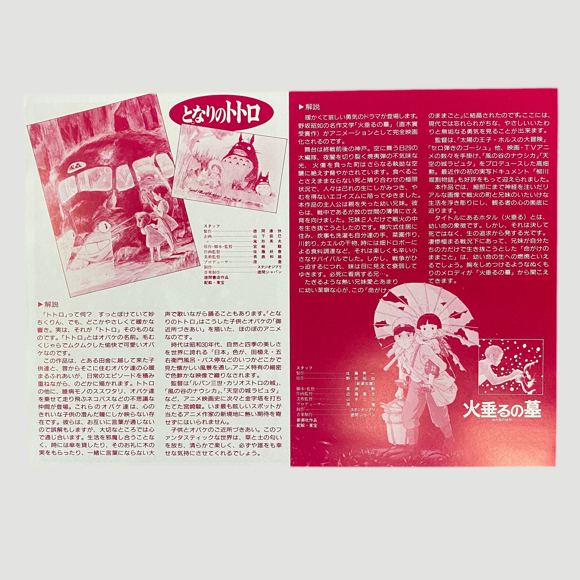 My Neighbour Totoro + Grave of the Fireflies B5 Poster