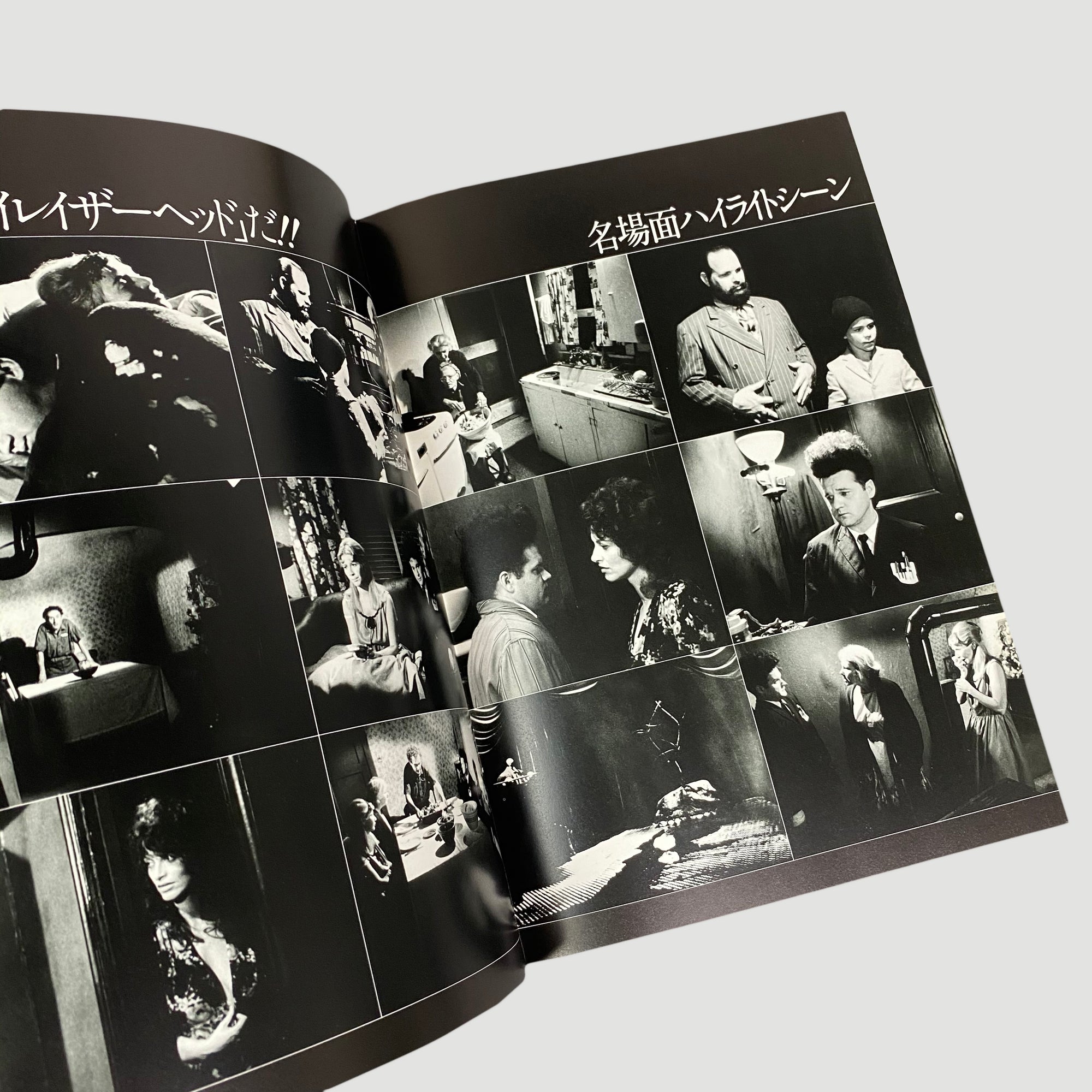 1981 Eraserhead Japanese Movie Programme