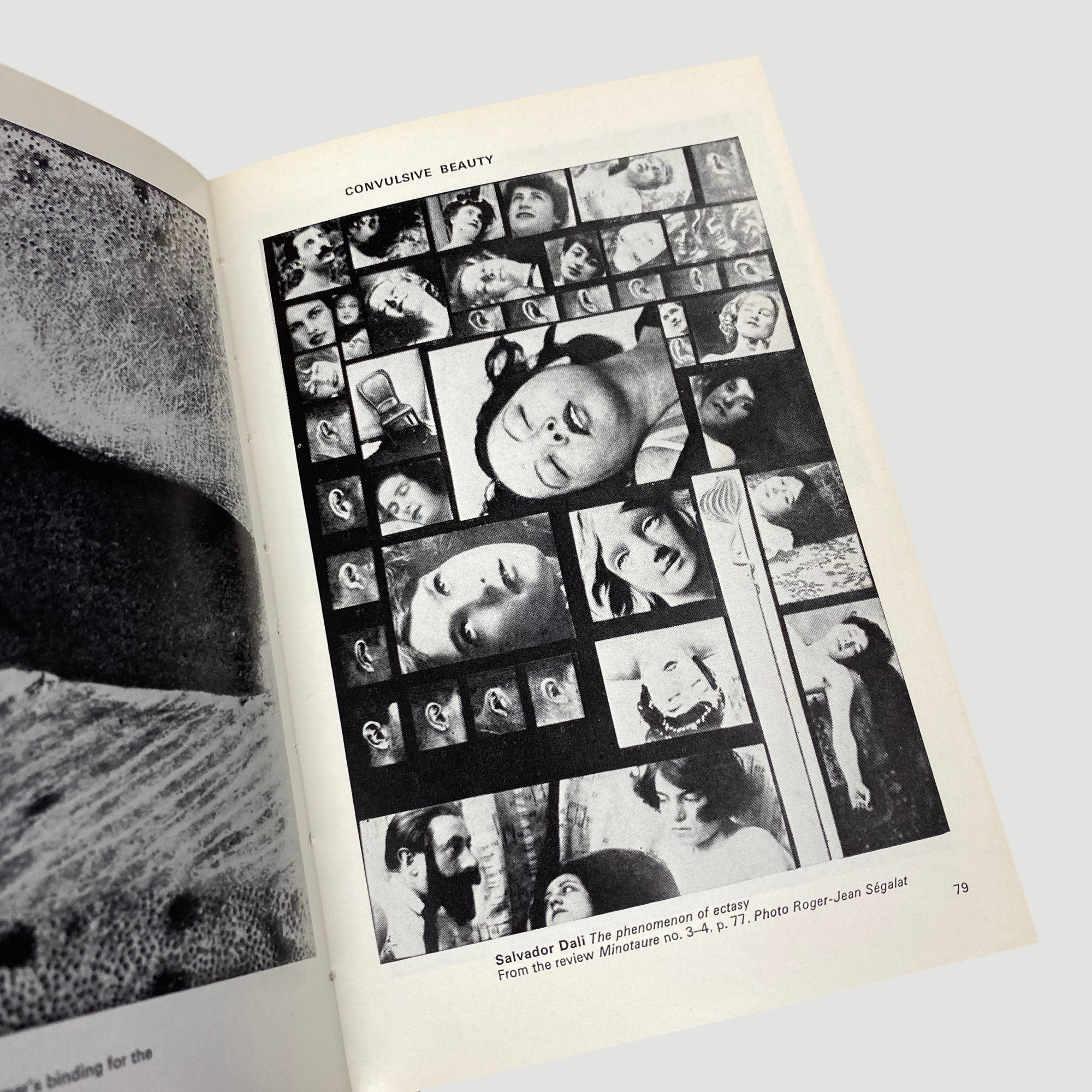 1973 Surrealism : Permanent Revelation