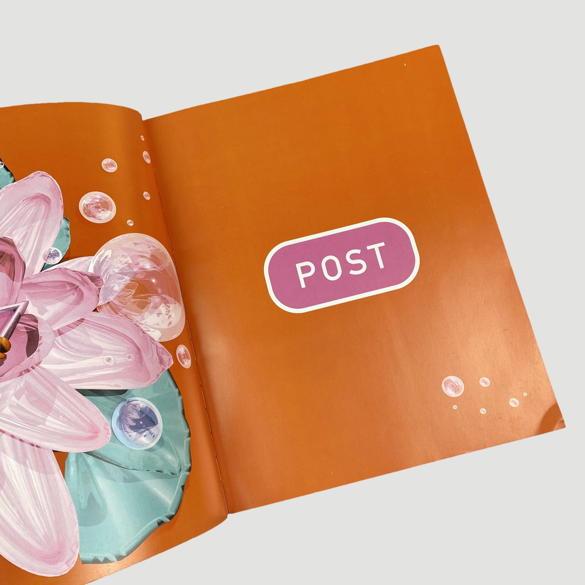 1995 Bjork 'Post' Tour Book