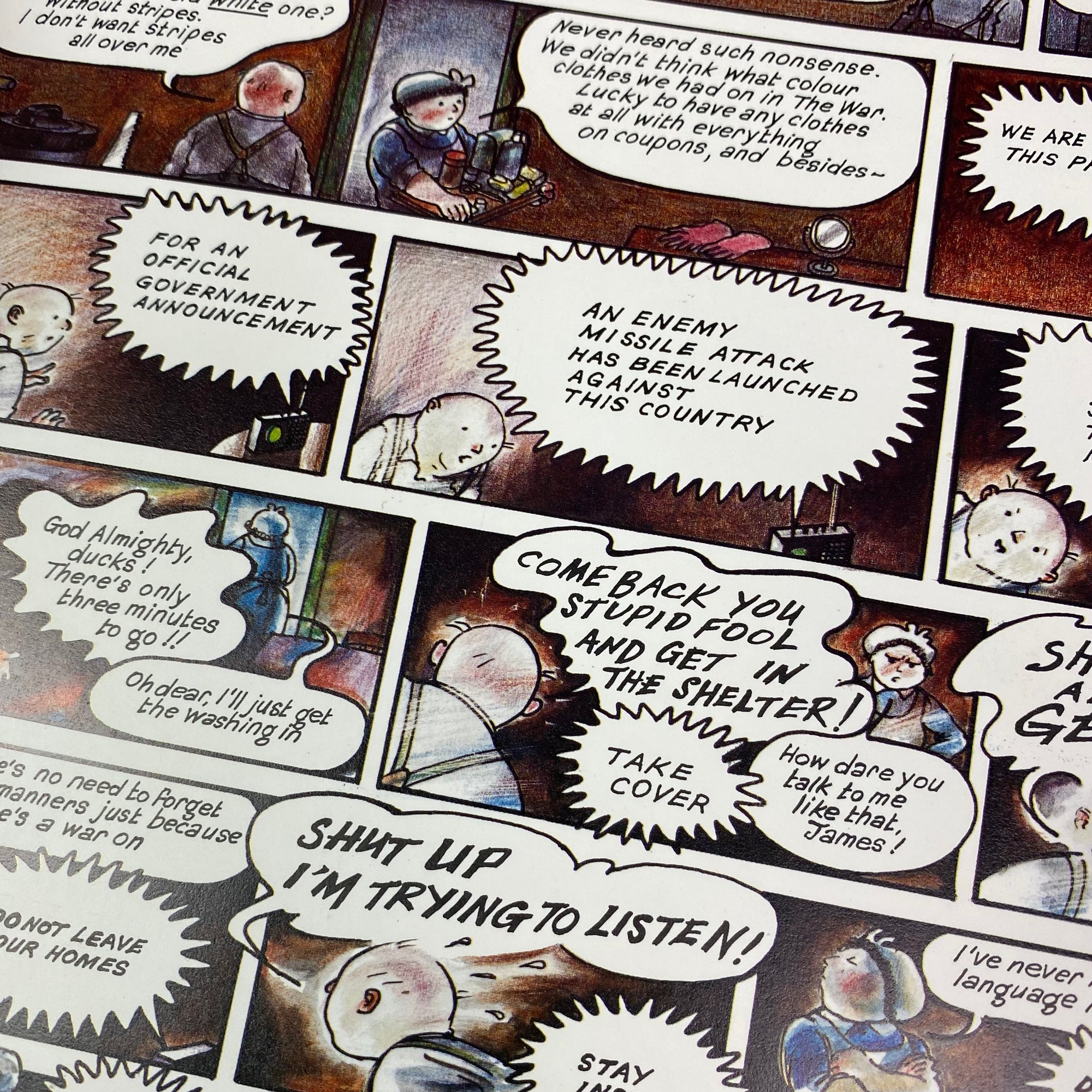 1982 Raymond Briggs 'When the Wind Blows' 1st Edition