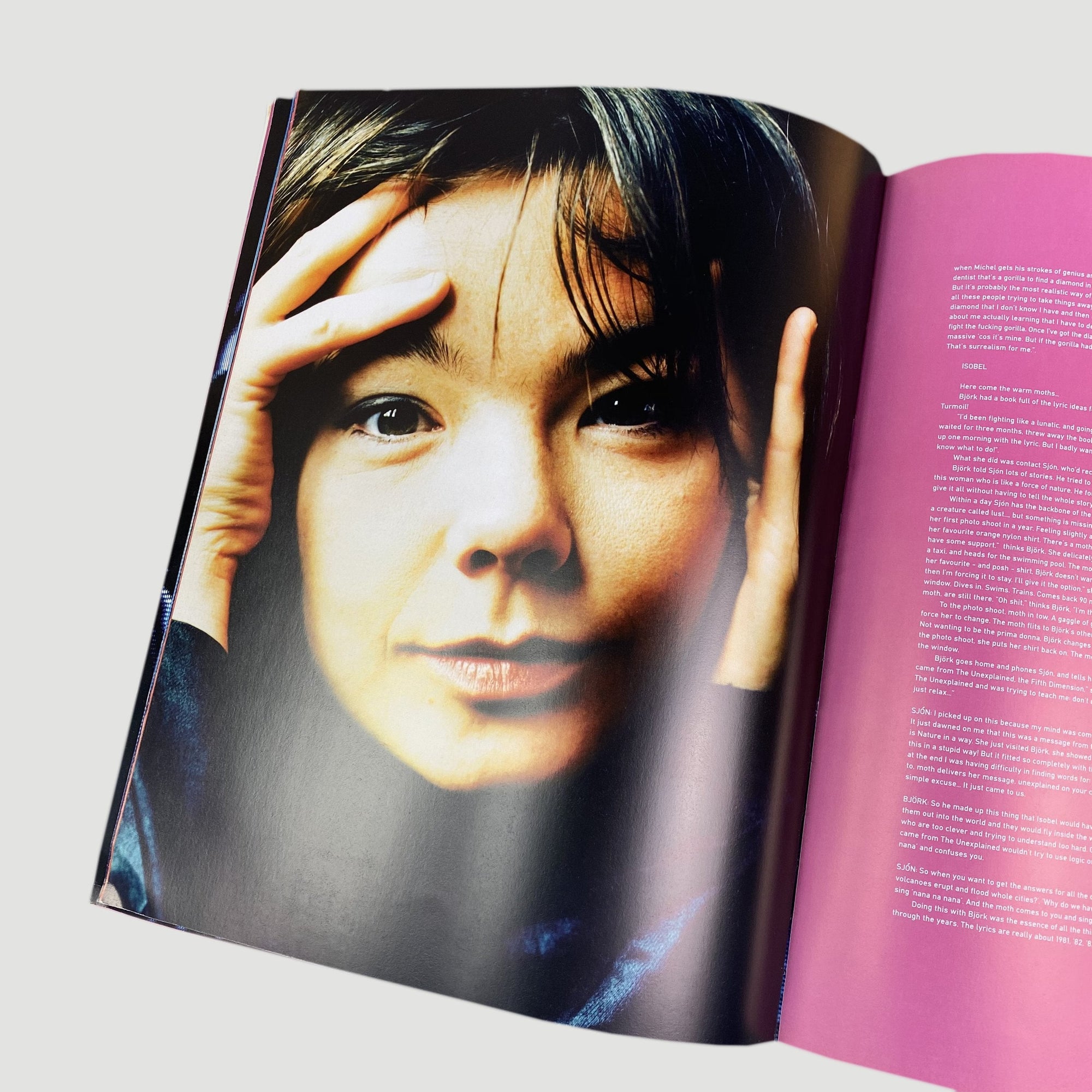 1995 Bjork 'Post' Tour Book